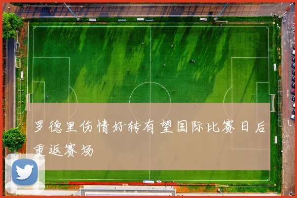 罗德里伤情好转有望国际比赛日后重返赛场