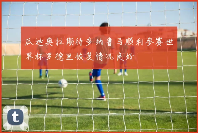 瓜迪奥拉期待多纳鲁马顺利参赛世界杯罗德里恢复情况良好