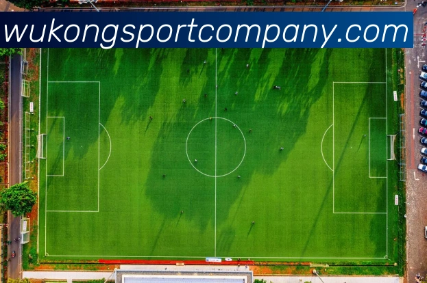 悟空体育平台生态图