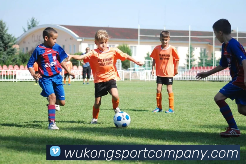 悟空体育全站App